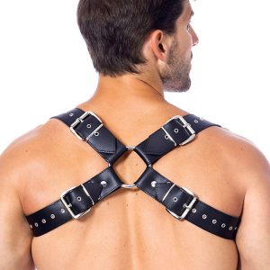 Leder-Harness