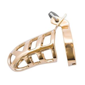 Brutal Stainless Steel Chastity Cage: Peniskäfig