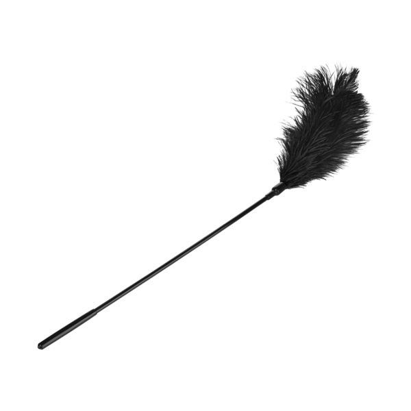 Large Feather Tickler