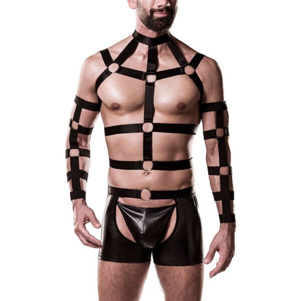 Harness-Set, 4-teilig